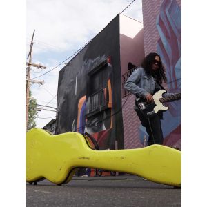 Electric Bass Guitar Case – Fender Precision Bass - Fiberglass